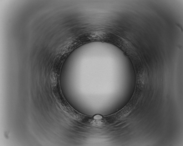 X0000103230751200809041024