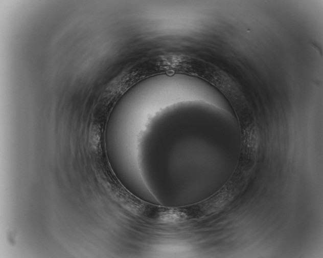 X0000103230754200809041024