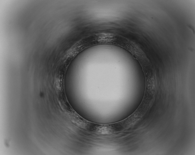 X0000103230755200809041024