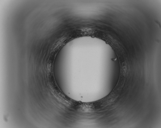 X0000103230756200809041024
