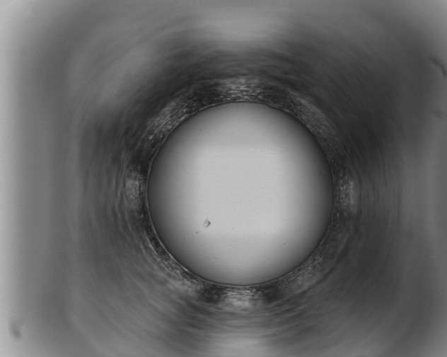 X0000103230757200809041024