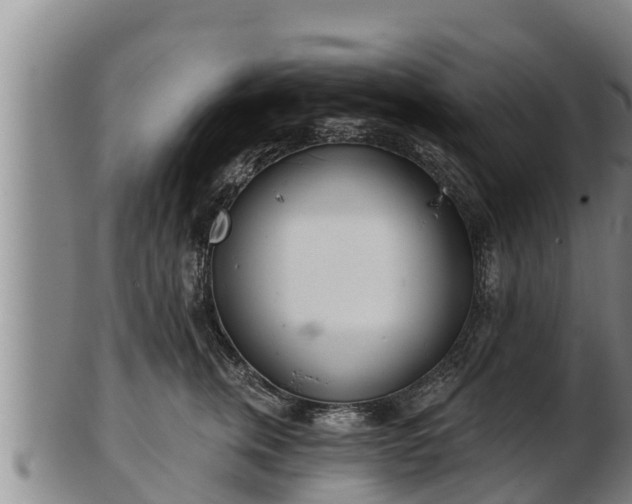 X0000103230759200809041024