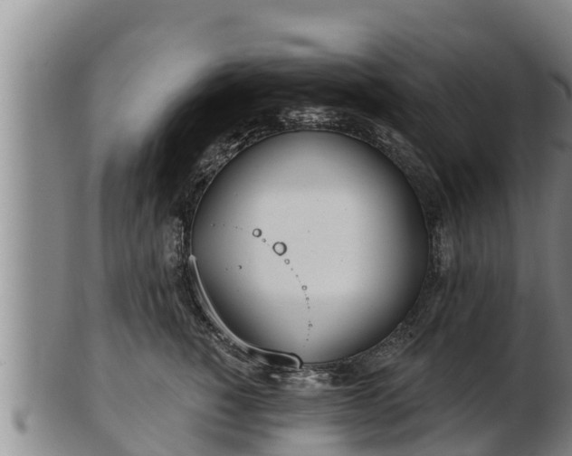 X0000103230760200809041024