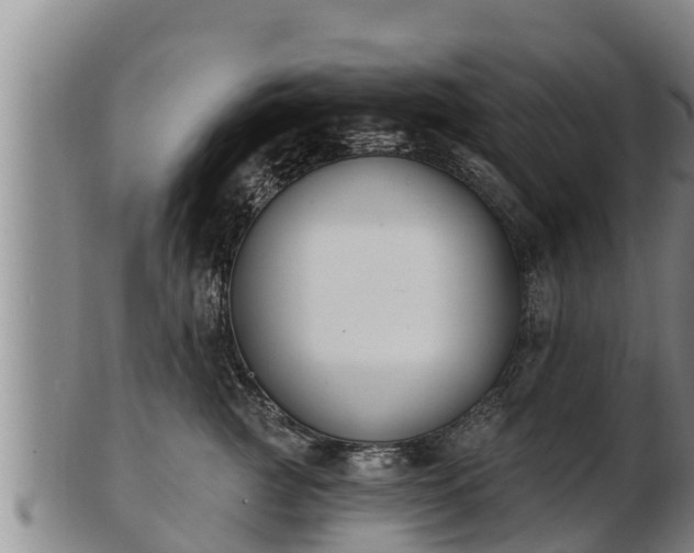 X0000103230761200809041024