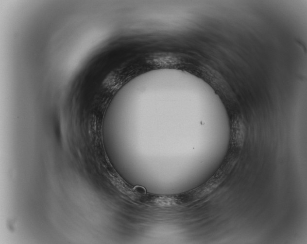 X0000103230762200809041024