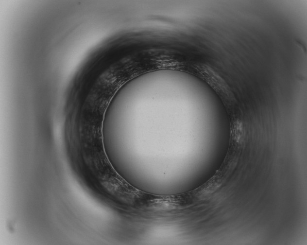 X0000103230763200809041024