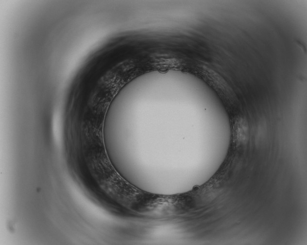 X0000103230764200809041024