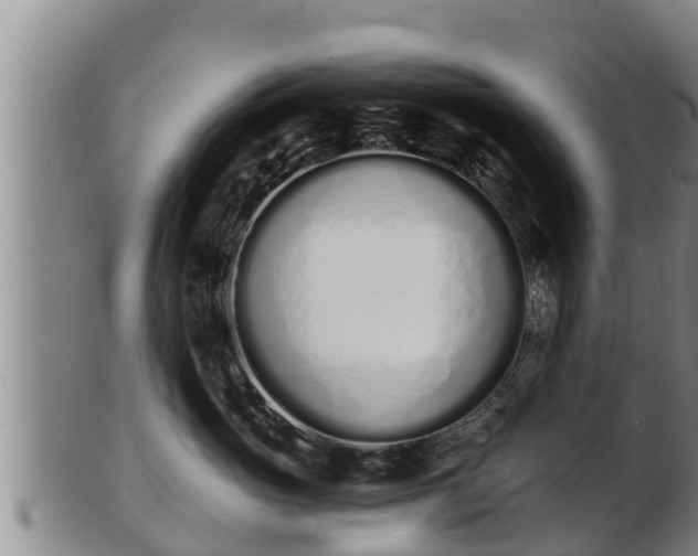 X0000103230765200809041024