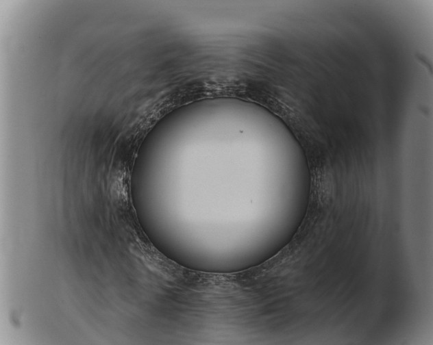 X0000103230770200809041024