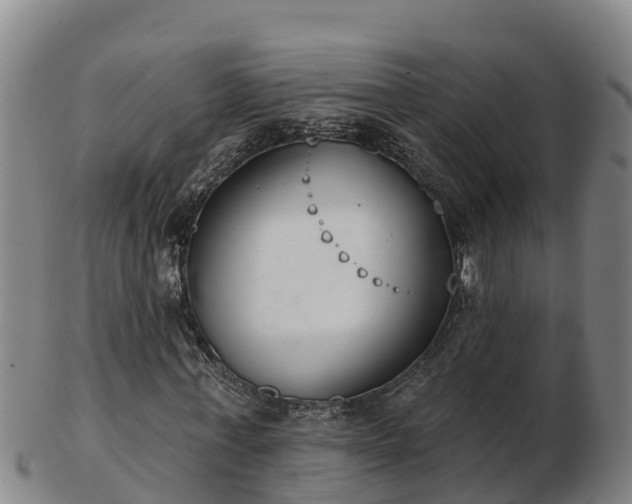 X0000103230771200809041024