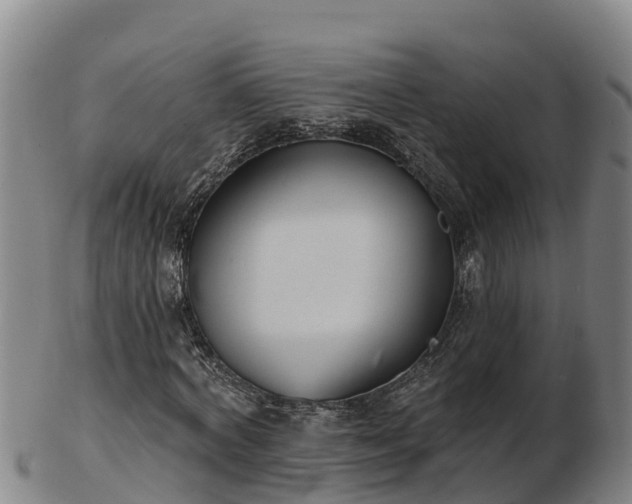 X0000103230772200809041024