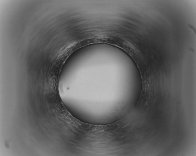 X0000103230773200809041024