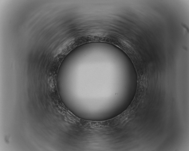 X0000103230774200809041024