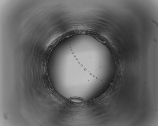 X0000103230775200809041024