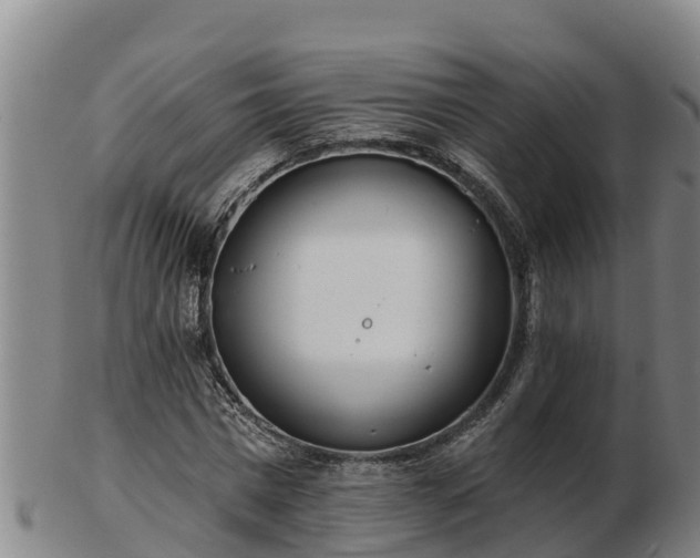 X0000103230777200809041024