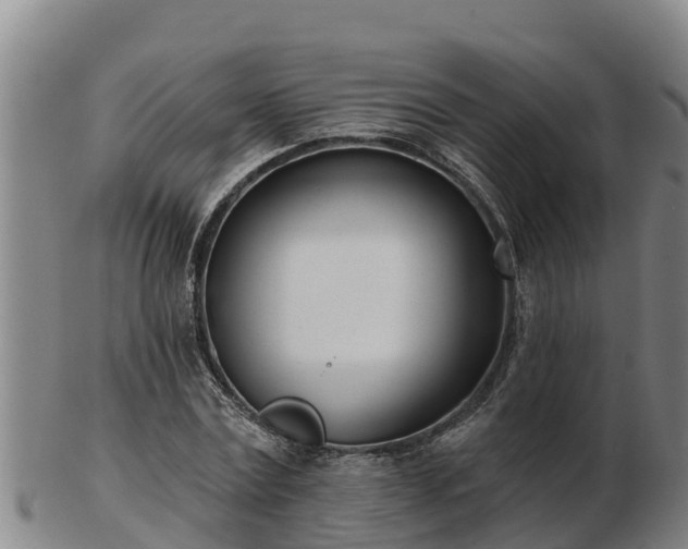 X0000103230779200809041024
