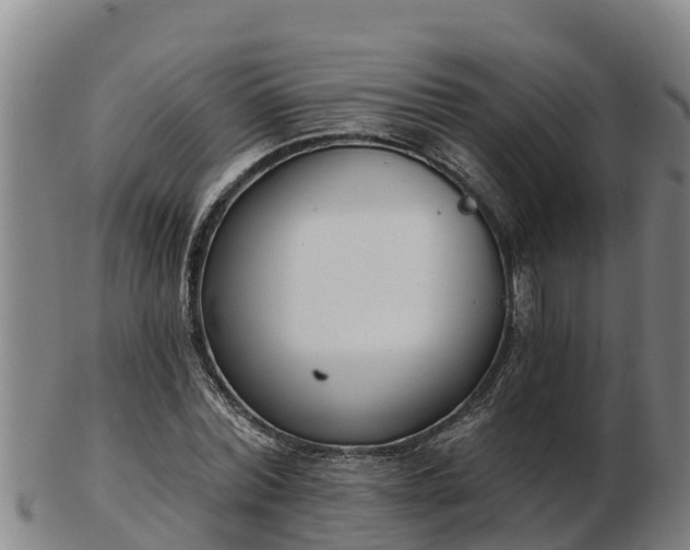 X0000103230780200809041024