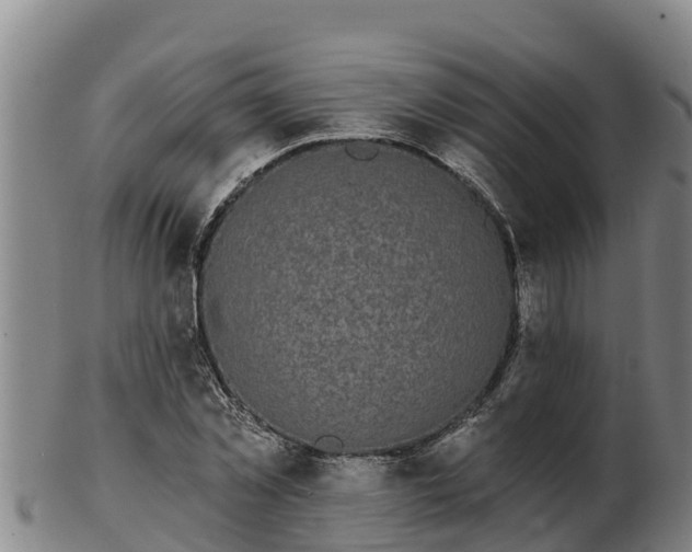 X0000103230781200809041024