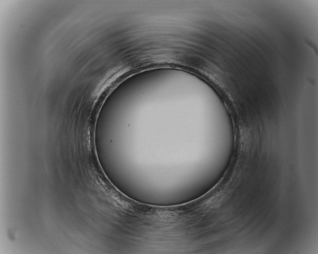 X0000103230782200809041024