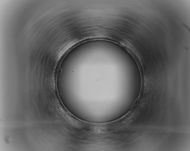 X0000103230789200809041024