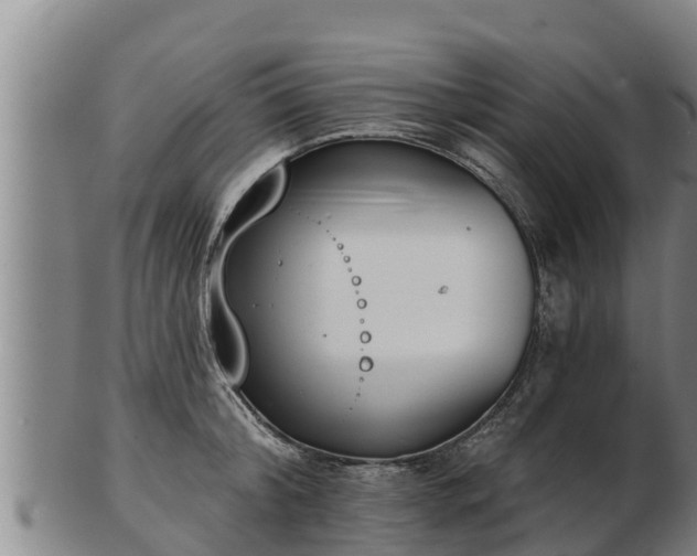 X0000103230804200809041023