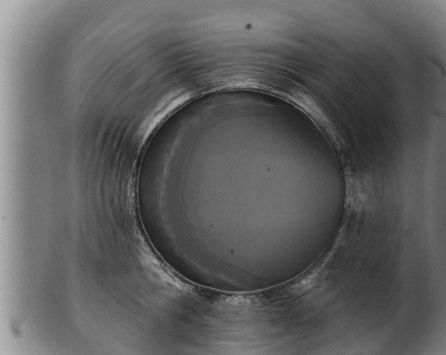 X0000103230806200809041023