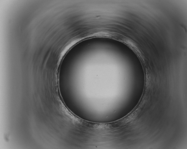 X0000103230808200809041023