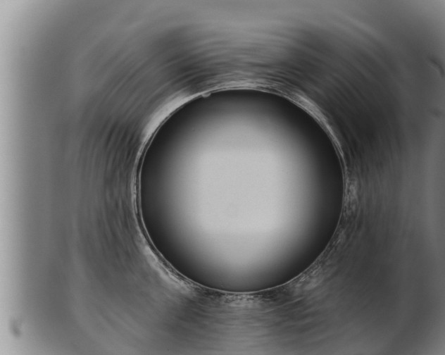 X0000103230811200809041023