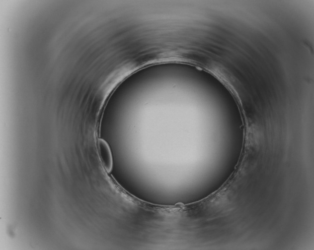 X0000103230813200809041023