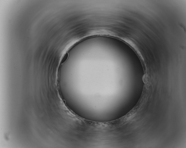 X0000103230815200809041023