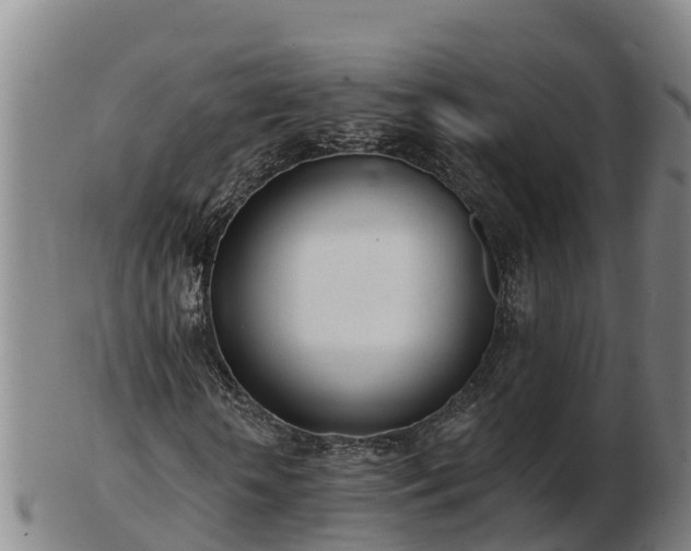 X0000103230818200809041023