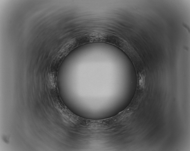 X0000103230819200809041023
