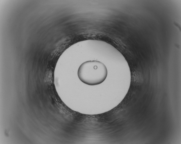 X0000103230820200809041023