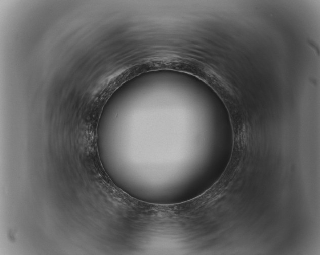 X0000103230822200809041023
