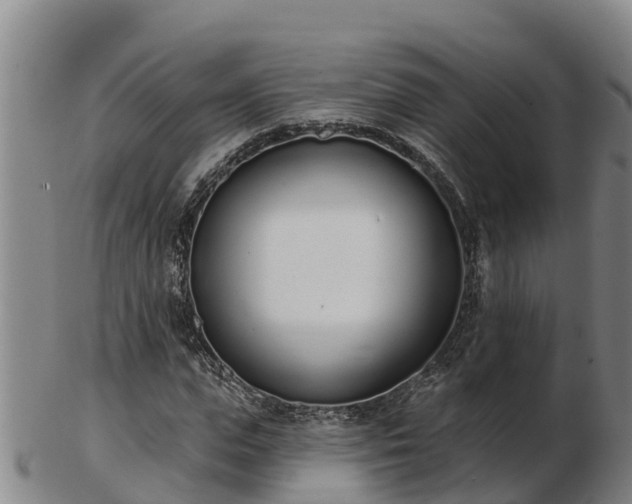 X0000103230823200809041023