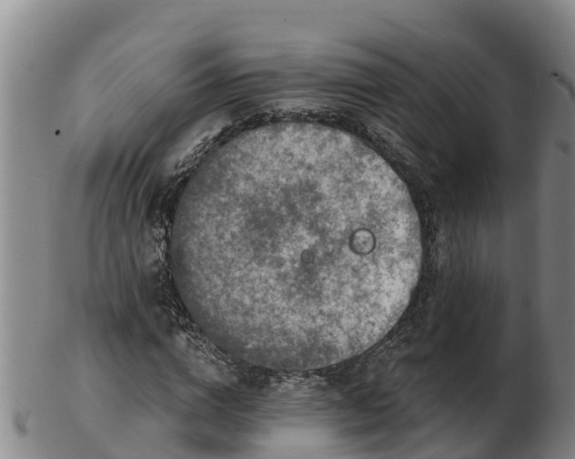 X0000103230824200809041023