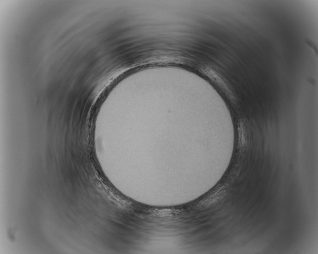 X0000103230828200809041023