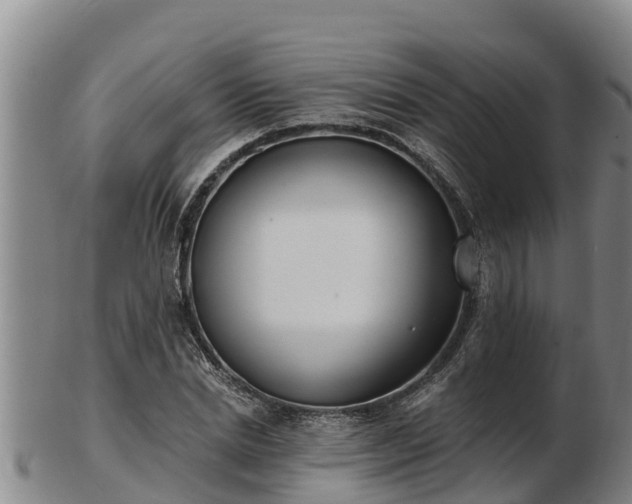 X0000103230830200809041023