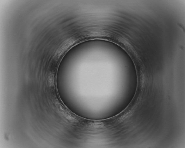 X0000103230833200809041023
