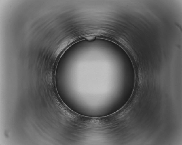 X0000103230834200809041023