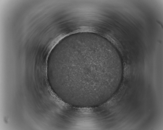 X0000103230836200809041023