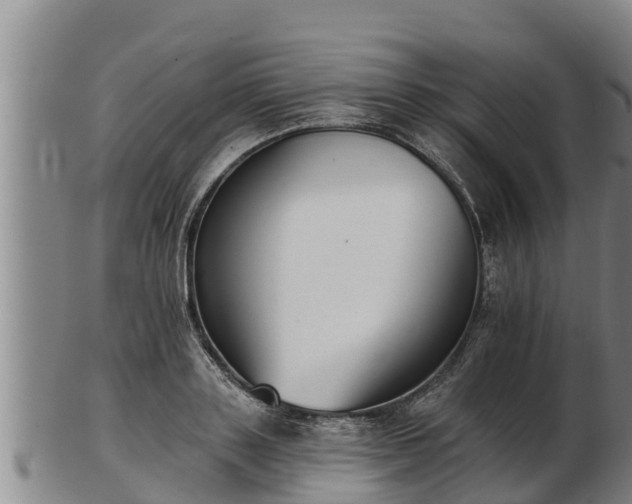 X0000103230843200809041023