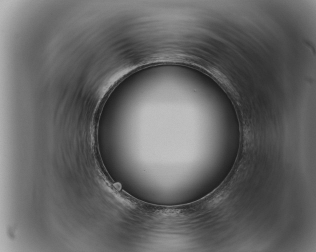 X0000103230846200809041023