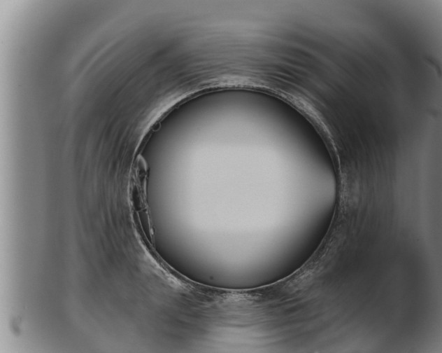 X0000103230847200809041023