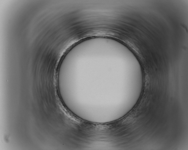 X0000103230848200809041023