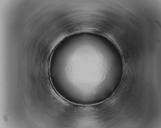 X0000103230851200809041023