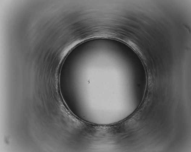 X0000103230854200809041023
