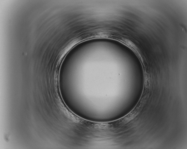 X0000103230859200809041023