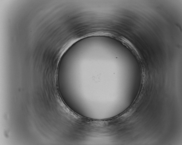 X0000103230860200809041023