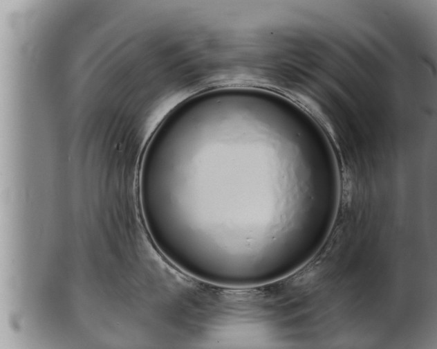 X0000103230863200809041023